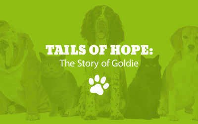 Tails of Hope: The Story of Goldie