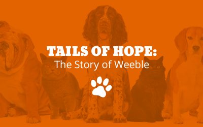 Tails of Hope: The Story of Weeble