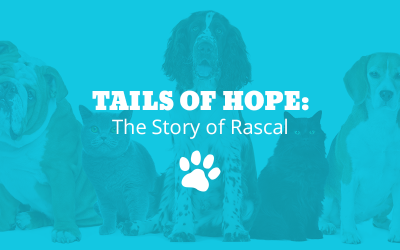 Tails of Hope: The Story of Rascal