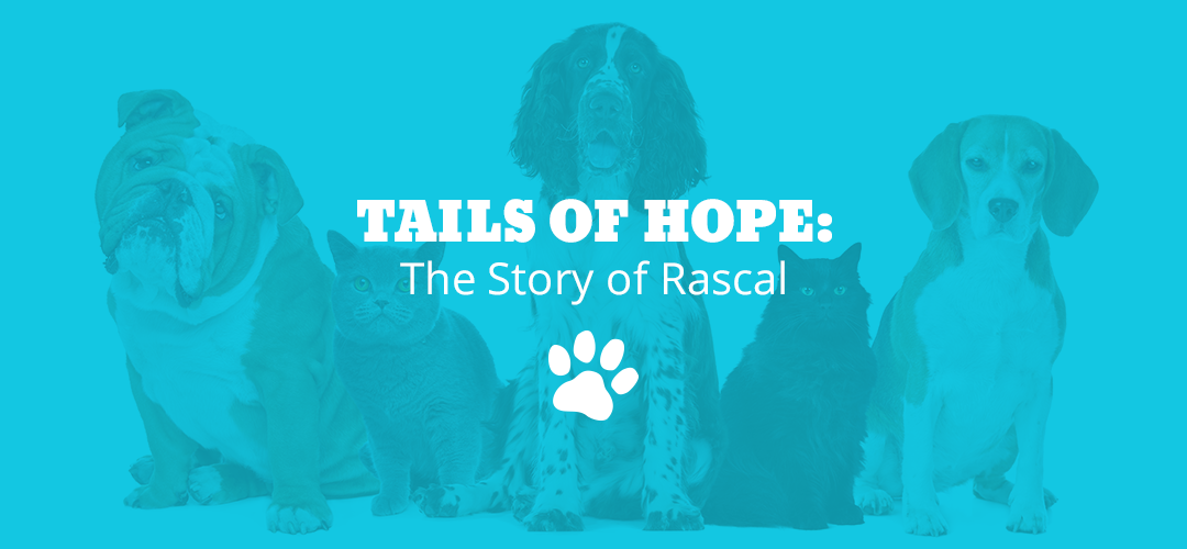 tails of hope