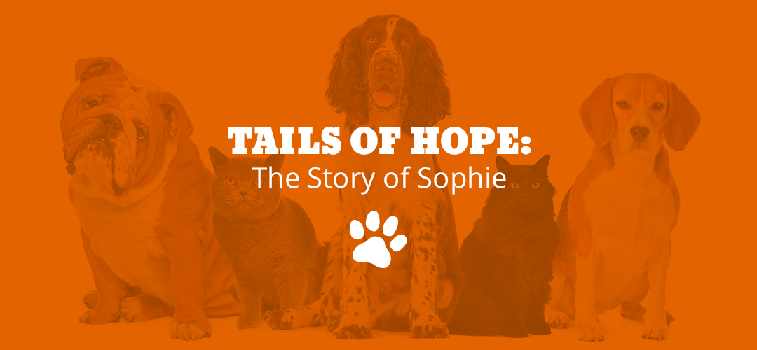 Tails of Hope: The Story of Sophie
