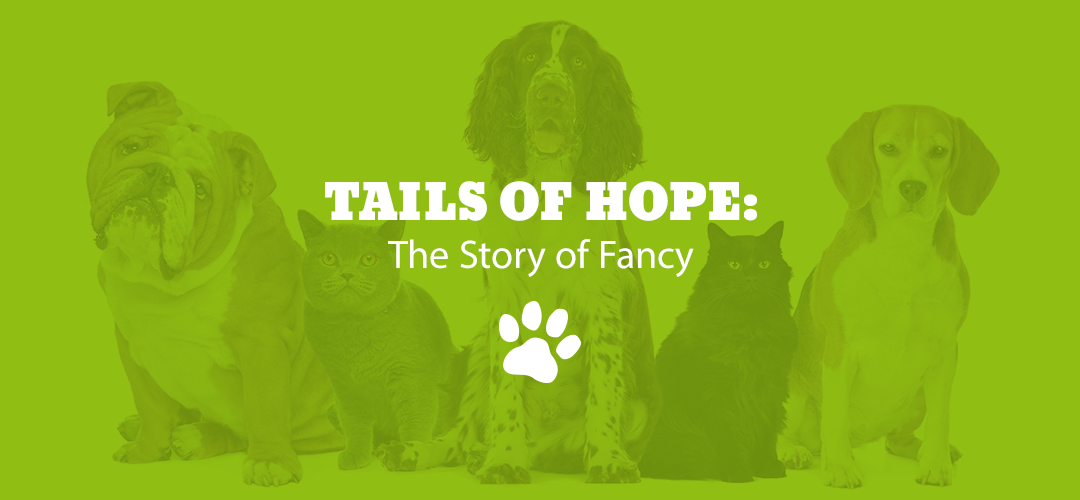 Tails of Hope: The Story of Fancy
