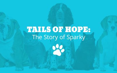 Tails of Hope: The Story of Sparky