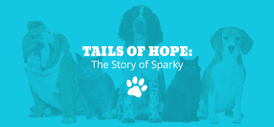 Tails of Hope: The Story of Sparky
