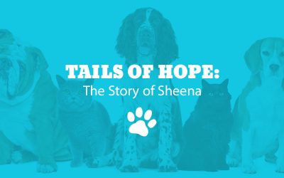 Tails of Hope: The Story of Sheena