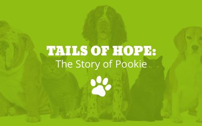 Tails of Hope: The Story of Pookie