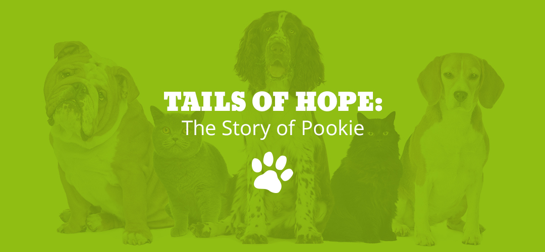 Tails of Hope: The Story of Pookie