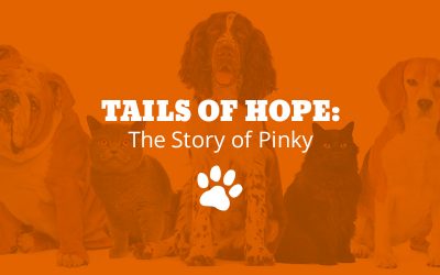 Tails of Hope: The Story of Pinky