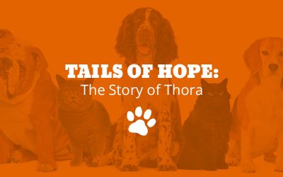 Tails of Hope: The Story of Thora