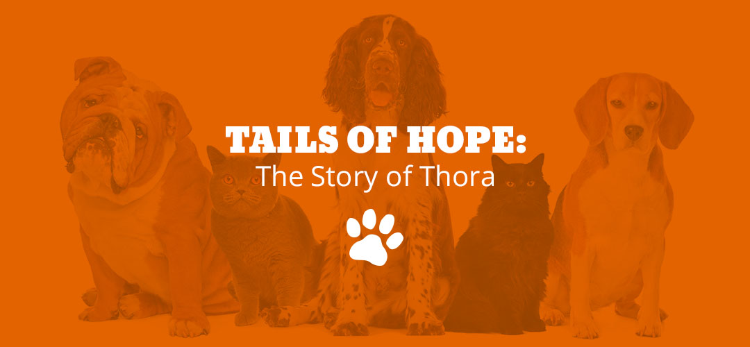 Tails of Hope: The Story of Thora
