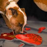 A dog eating valentines day treats