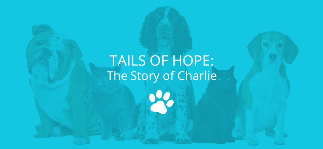 Tails of Hope: The Story of Charlie