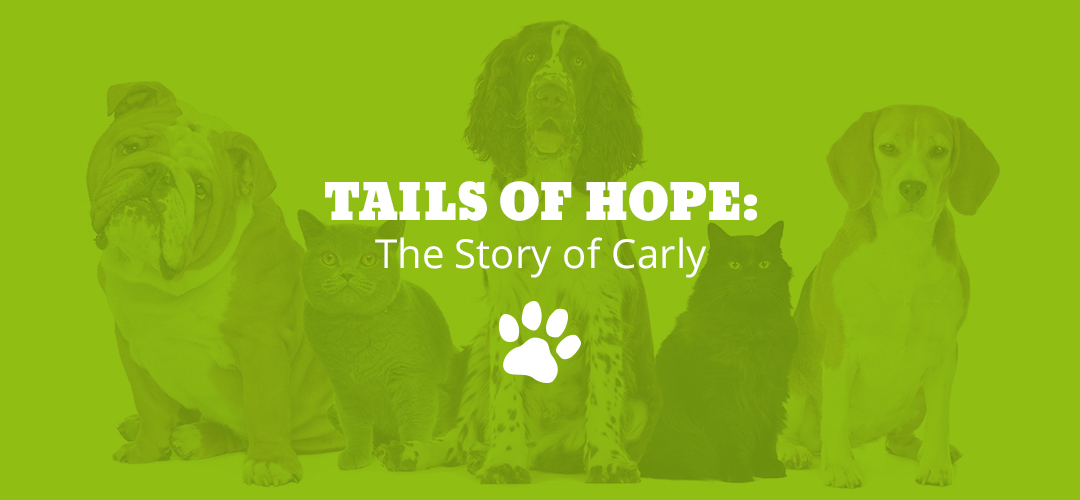 Tails of Hope: The Story of Carly