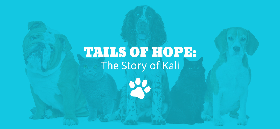 Tails of Hope: The Story of Kali