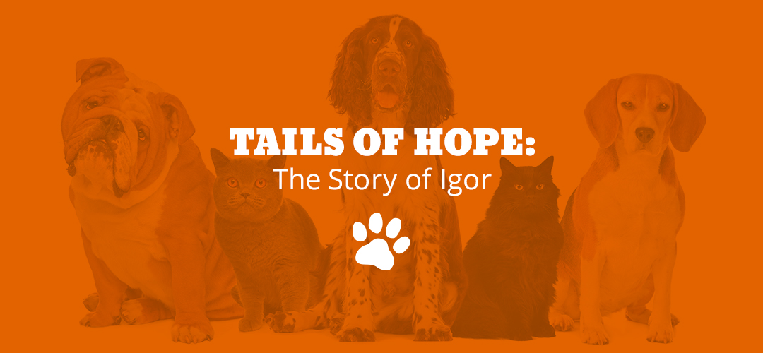 Tails of Hope: The Story of Igor