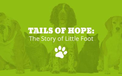 Tails of Hope: The Story of Little Foot