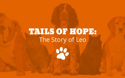 Tails of Hope: The Story of Leo