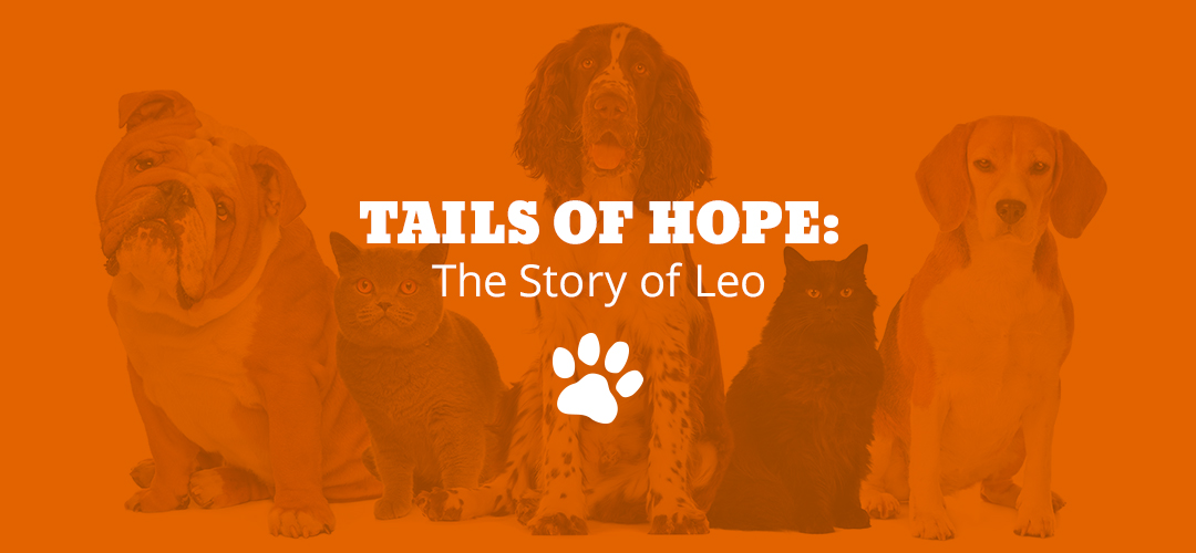 Tails of Hope: The Story of Leo