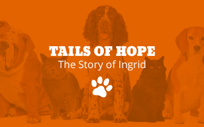 Tails of Hope: The Story of Ingrid
