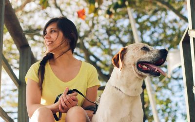 5 Tips for the Best and Safest Dog Gone Summer