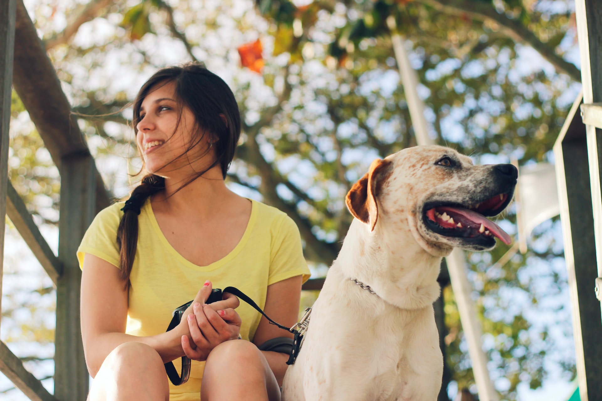woman holding leash while sitting outside with dog during summer