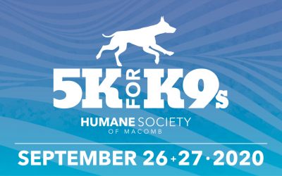 5K for K9s Virtual Run/Walk Helping Abandoned and Abused Animals