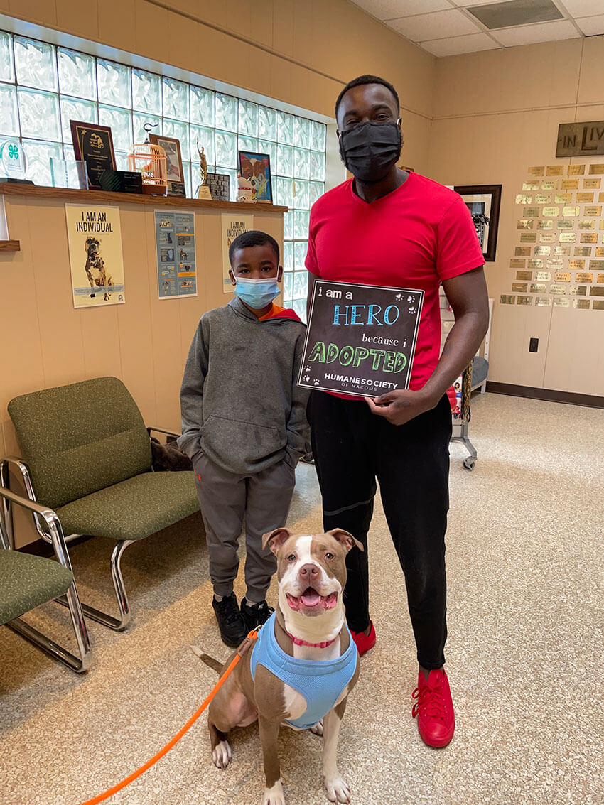 Humane Society of Michigan Animal Adoptions