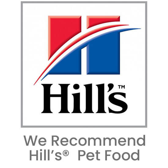 hills recommend pet food