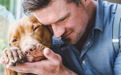 5 Reasons You Should Adopt a Shelter Dog