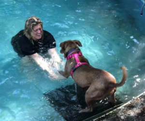 Fun in the pool