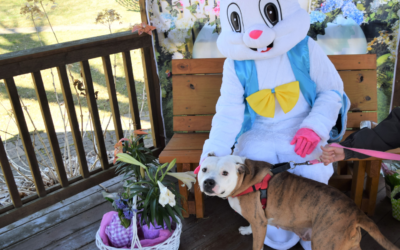 Photos With The Easter Bunny 
