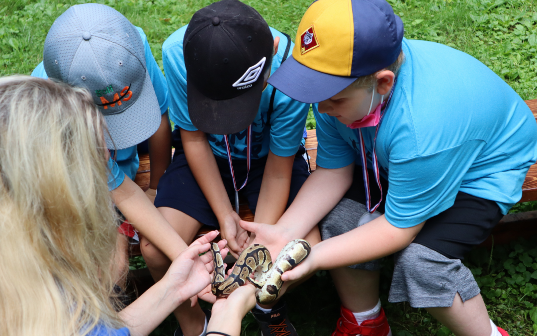 Summer Camp: Are You Excited Yet?