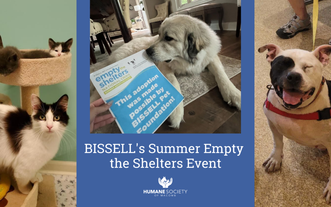 BISSELL’s Summer Empty the Shelters Event