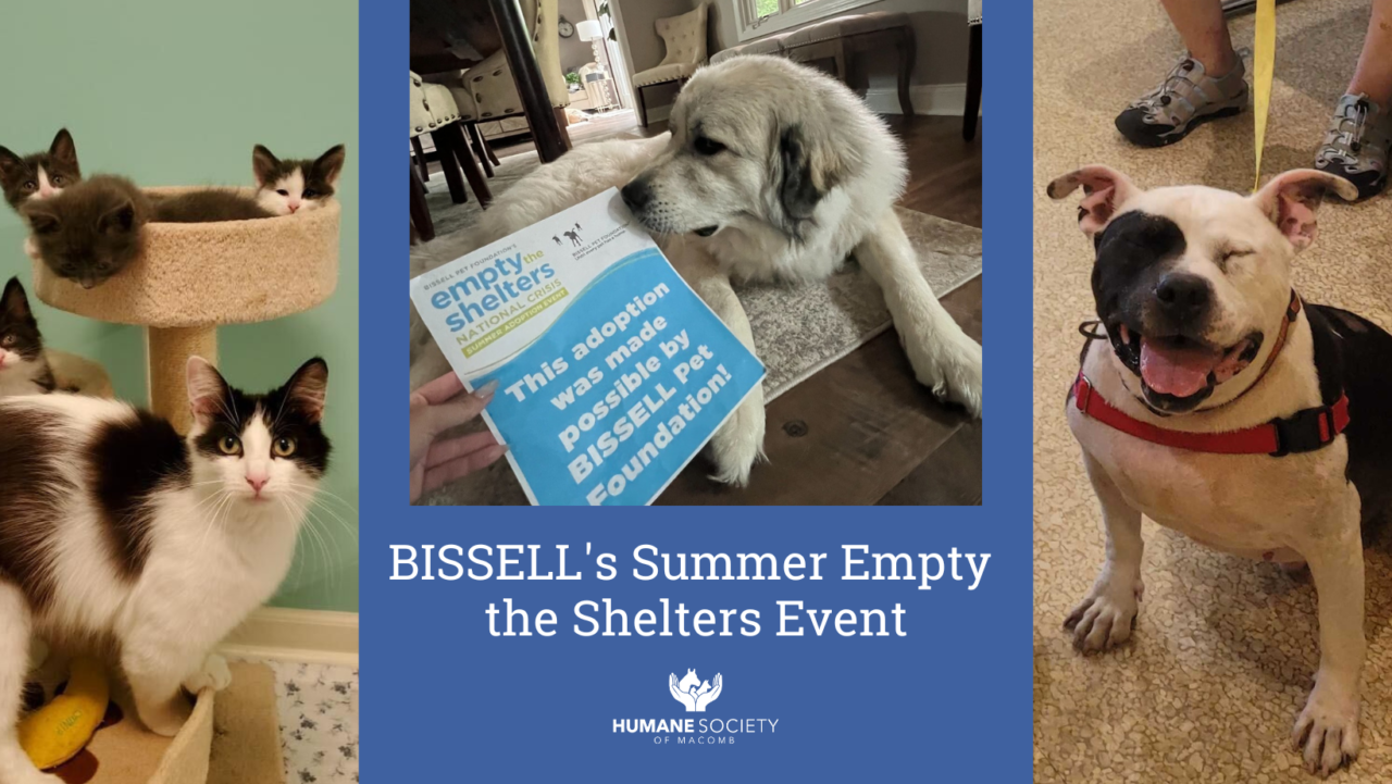 BISSELL's Summer Empty The Shelters Event - Humane Society Of Macomb