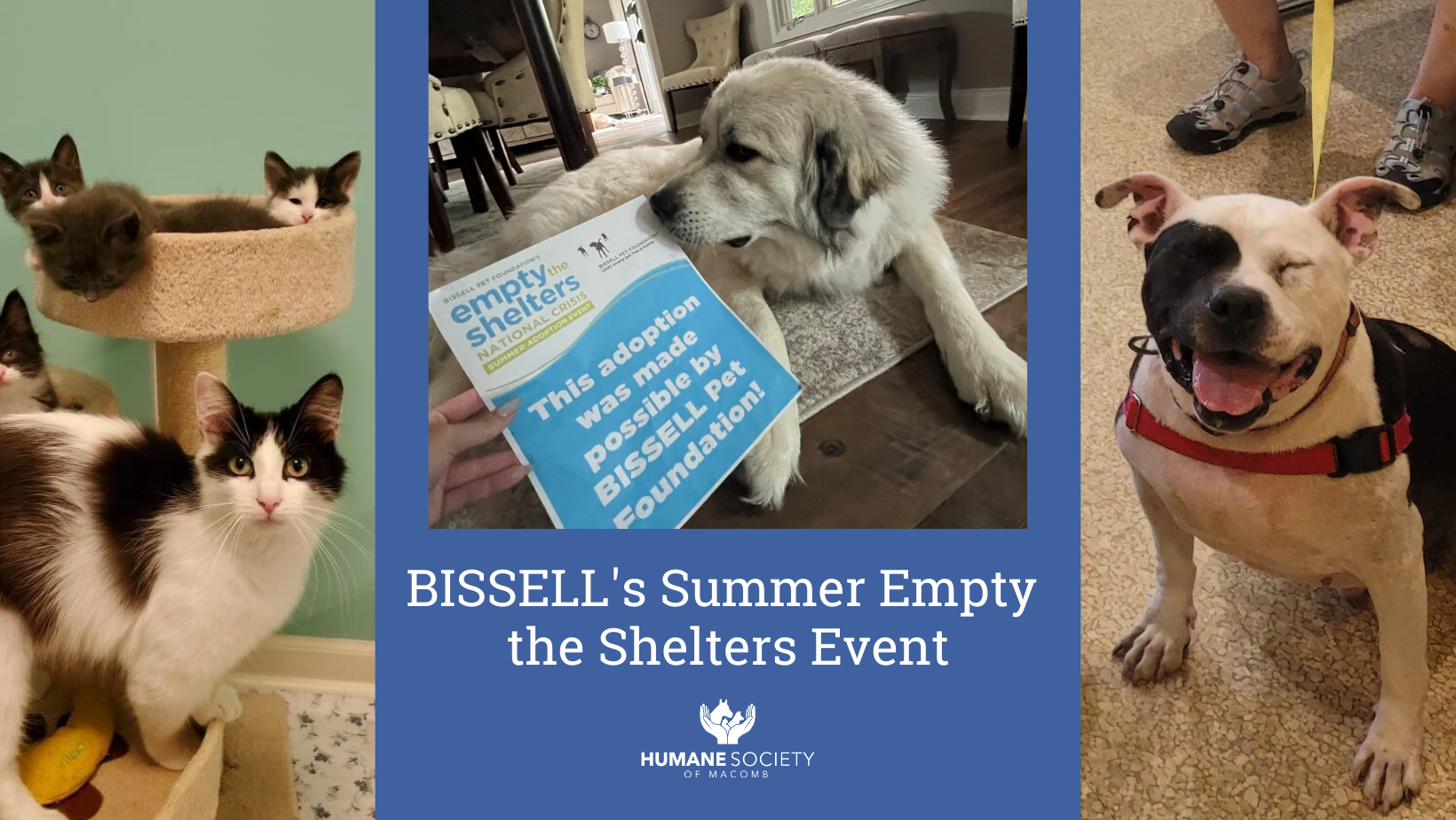 summer empty the shelters