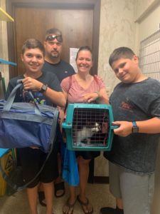 Heath, Oreo, and Silver were adopted together during Bissell's summer empty the shelters event!