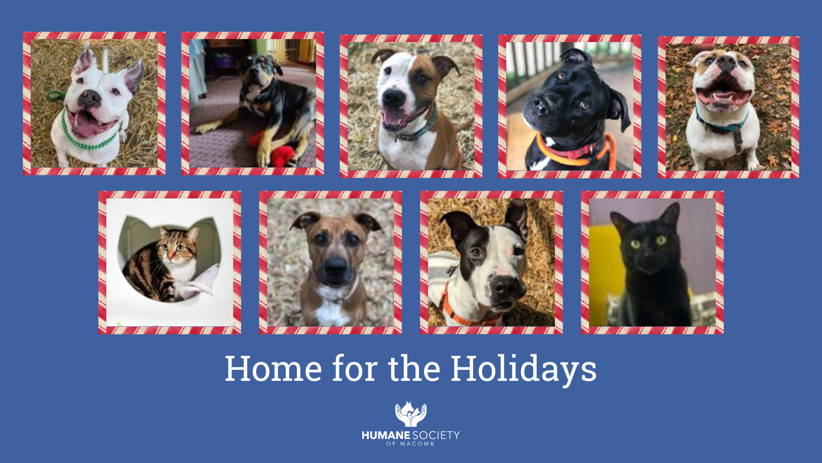 home for the holidays