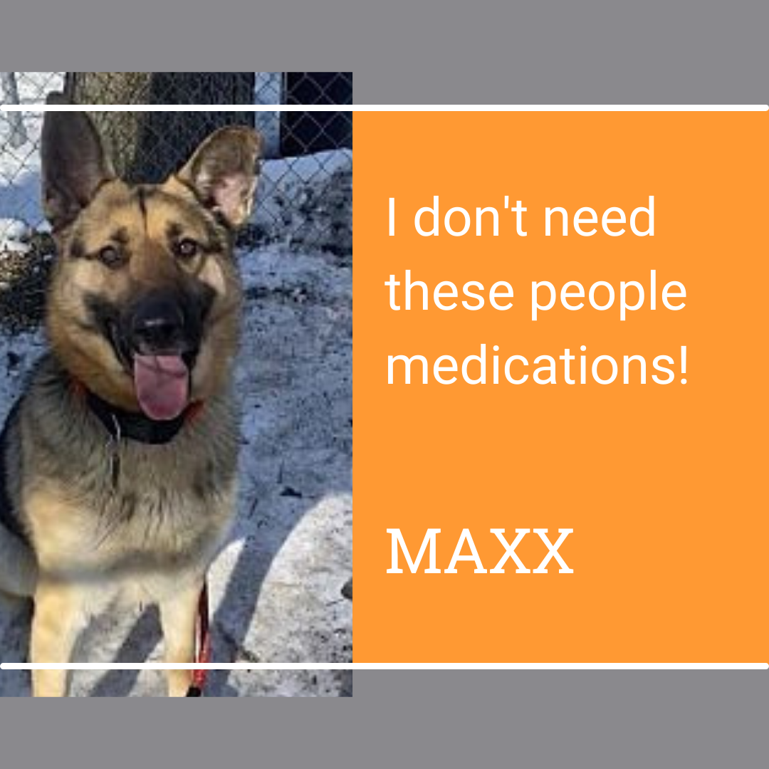 hsm_poison_prevention_maxx