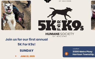 5K For K9s