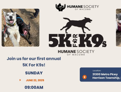 5K For K9s