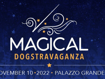 Dogstravaganza