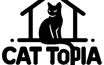 How to Reduce Stress and Anxiety in Cats