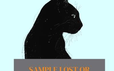 Sample – Lost Cat