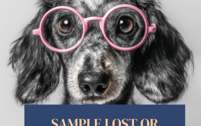 Sample – Lost Dog