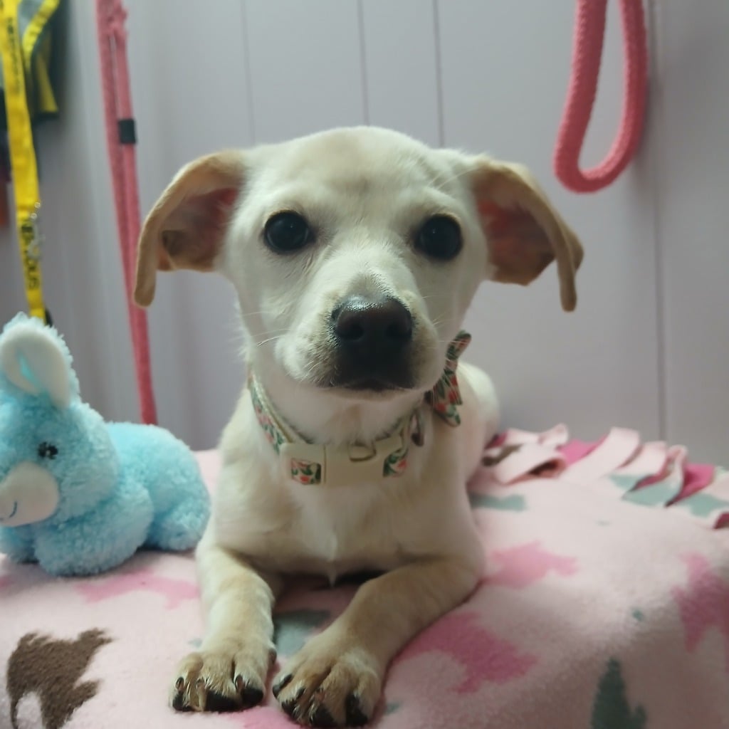 att.sjD77e1-sEaVT3FUKgruNpgDeiIs3u-2QBMo0TGP9Sg