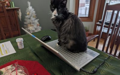 Daisy – REUNITED!!