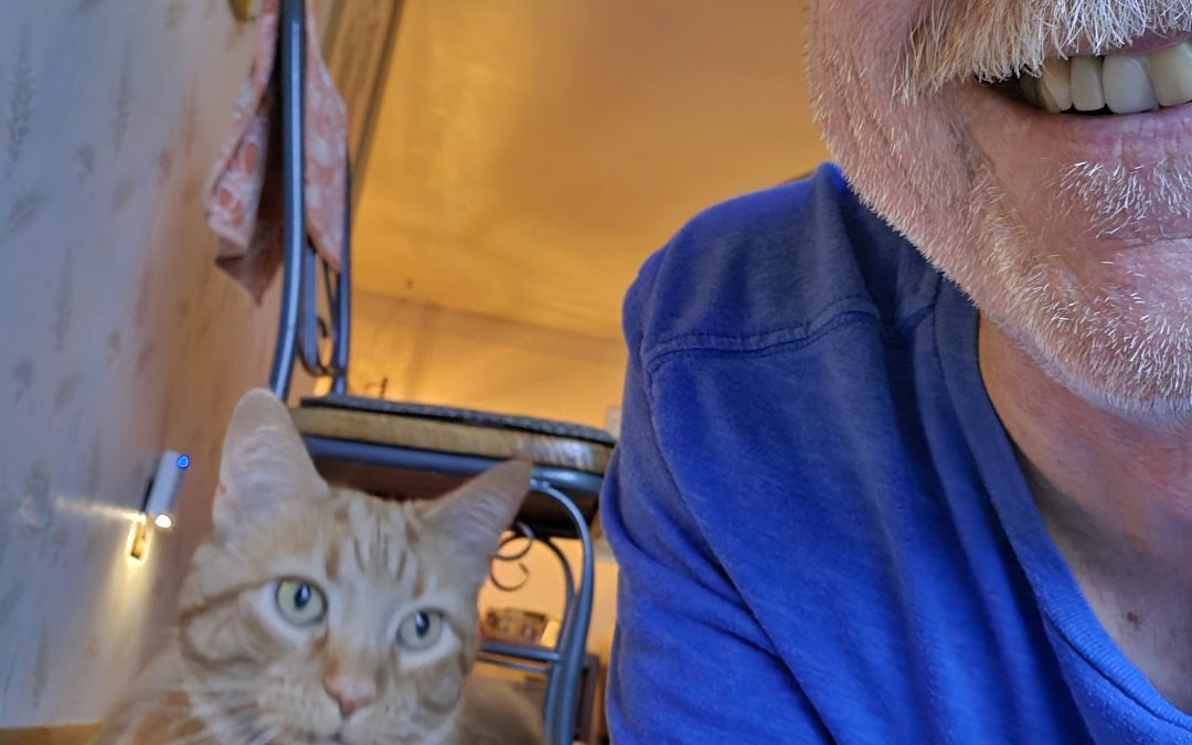 Fanta – Lost Cat